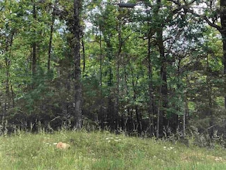 0 Chetopa Dr, Cherokee Village, AR 72529