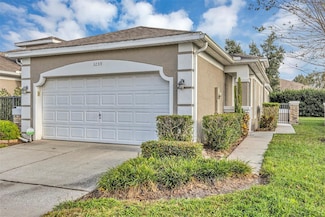 3259 River Branch Cir, Kissimmee, FL 34741