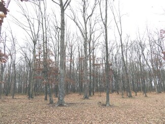 000 Rice Humphrey Rd, Puryear, TN 38251