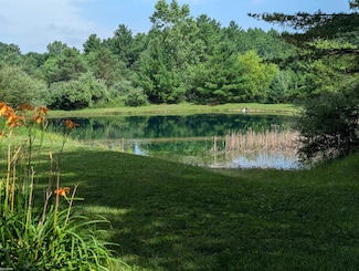 6795 Cline Rd, Grant Township, MI 48032