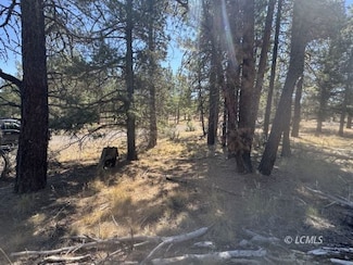 0 Jean St Unit 3007686, Chiloquin, OR 97624