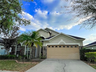 11314 Flora Springs Dr, Riverview, FL 33579