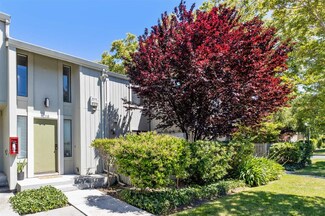 215 Ortega Ave, Mountain View, CA 94040