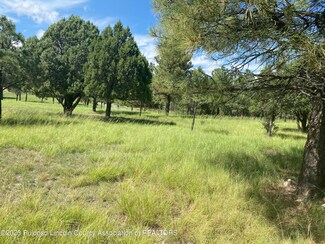 Lot 3 High Mesa Dr Unit 2, Alto, NM 88312