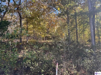 lot 2 Cann School Ln, Summit, KY 42732