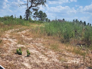 Tract 4 TBD County Road 1762, Jefferson, TX 75657