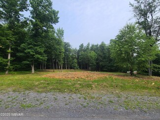 0 Farmdale Rd Unit WB-97366, Marion Township, PA 16841