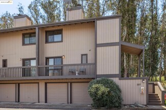 307 Vista Heights Rd, El Cerrito, CA 94530
