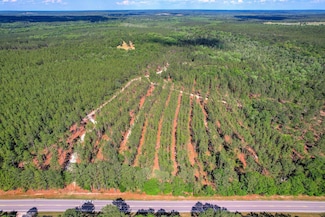 80 Acres Columbia Hwy N, Ridge Spring, SC 29129