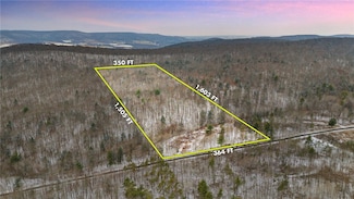 0 Owego Hill Rd Unit R1512721, Harford, NY 13784
