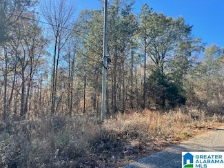0 Sycamore Church Rd Unit 6 21404546, Talladega, AL 35160
