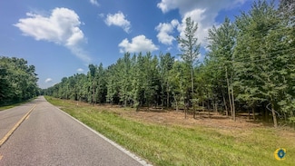 0 Birdsong Rd, Camden, TN 38320