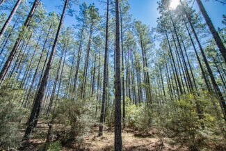 XX1 Parrish Still Rd, Vernon, FL 32462