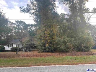 TBD W Main St, Olanta, SC 29114