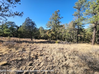 50B Bobby Jones Ct, Alto, NM 88312
