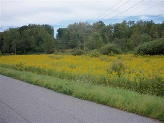 0 Mill St, Caneadea, NY 14717