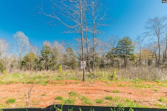 0 Lands End Ln Unit 579424, Prosperity, SC 29127