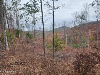 0 Old Harriman Hwy Morgan County Hwy Unit 1268757, Harriman, TN 37748