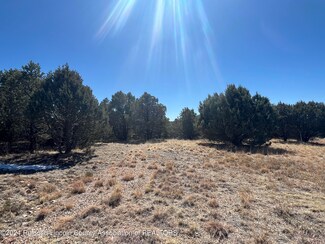 L 22 B 14 Cochiti Ct, Alto, NM 88312