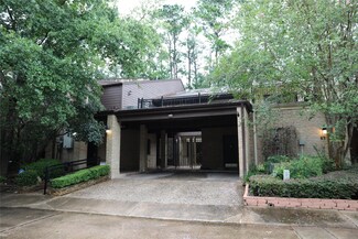 201 Vanderpool Ln Unit 65, Houston, TX 77024