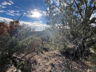 661 Edge Ridge Rd Unit 661, Seligman, AZ 86337