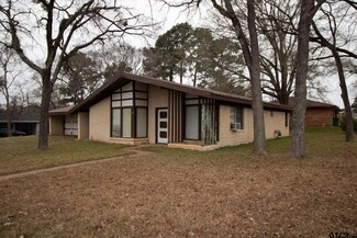 405 Shamrock Dr, Palestine, TX 75803