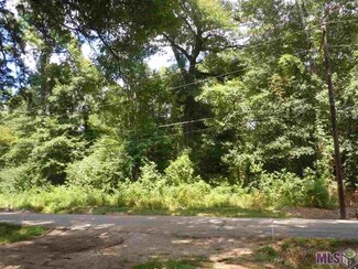 Lot 51 Magnolia Dr, Walker, LA 70785