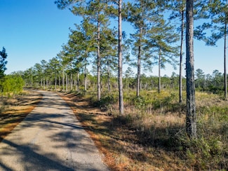 001 A Busby Rd, Ellisville, MS 39437