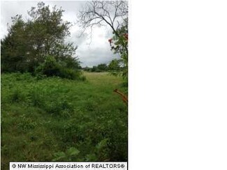 11 Early Grove, Lamar, MS 38642