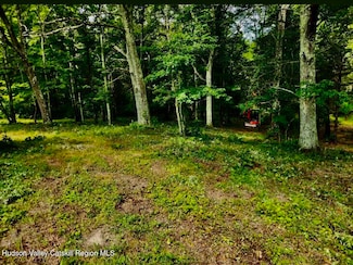 12 Talleur Ln, Clinton, NY 12514