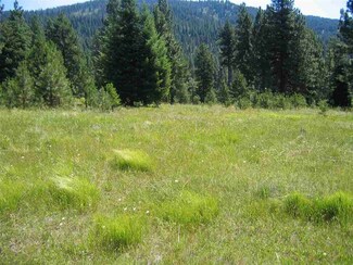Ranch 37 Little Salmon Cir, New Meadows, ID 83654