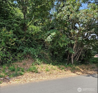 8439 6th Ave SW, Seattle, WA 98106