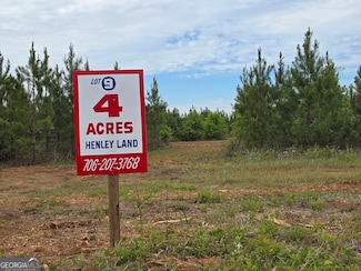09 Marvin Murphy Rd, Ellaville, GA 31806