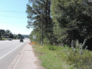 1250 S Lake Dr, Lexington, SC 29073