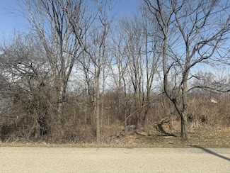 261 E Beech St NE, Cedar Springs, MI 49319