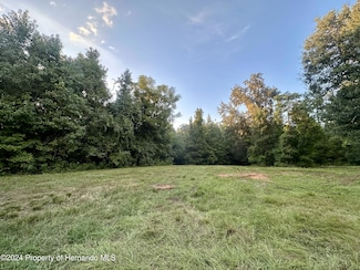 0 Science Dr Unit 2239076, Brooksville, FL 34601