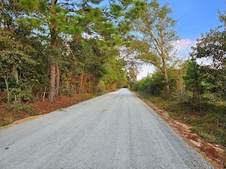 0 Fish Rd, Eastman, GA 31023