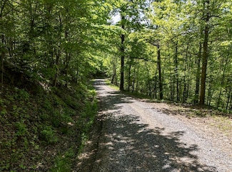 TBD McCurdysville Rd, Rivesville, WV 26588