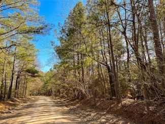 0000 Union Springs Rd, Corrigan, TX 75939