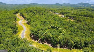 0 Ridge Dr Unit LOT 64 10593060, Morganton, GA 30560