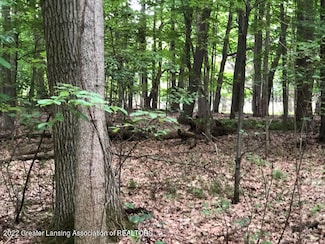00 Driftwood Dr, Watertown Township, MI 48820