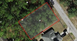 10378 N Holcomb Dr, Citrus Springs, FL 34434