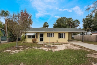 221 S Johns St, Mount Dora, FL 32757