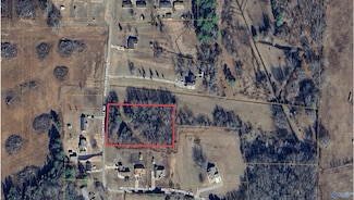 2 acres Moulton Danville Rd, Moulton, AL 35650