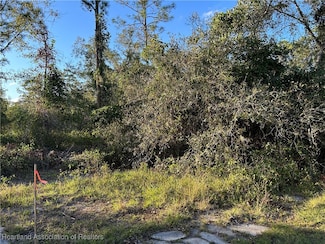 TBD (PARCEL #1) Abernathy Ave, Sebring, FL 33875