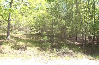 00 Dirksen Ave Unit 68, Nebo, NC 28761