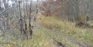32752 163rd St, Harding, MN 56364