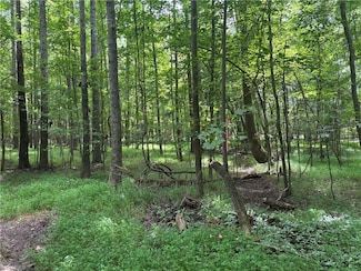 4504 Alex Dr, Greensboro, NC 27406