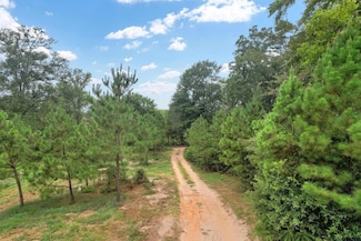 4557 Elderberry Rd, Gilmer, TX 75644
