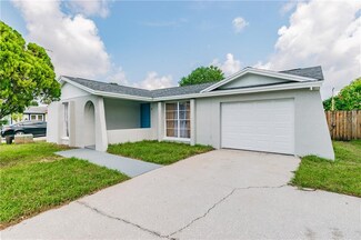 9315 Ashfield Ct, Tampa, FL 33615